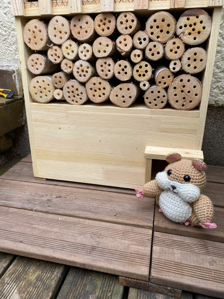 Sigurd II. auf Haussuche