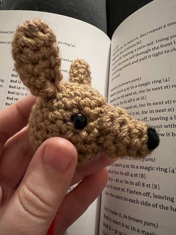 Mama and Baby Kangaroo