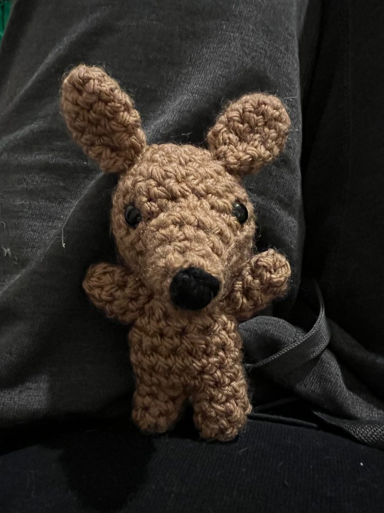 Mama and Baby Kangaroo