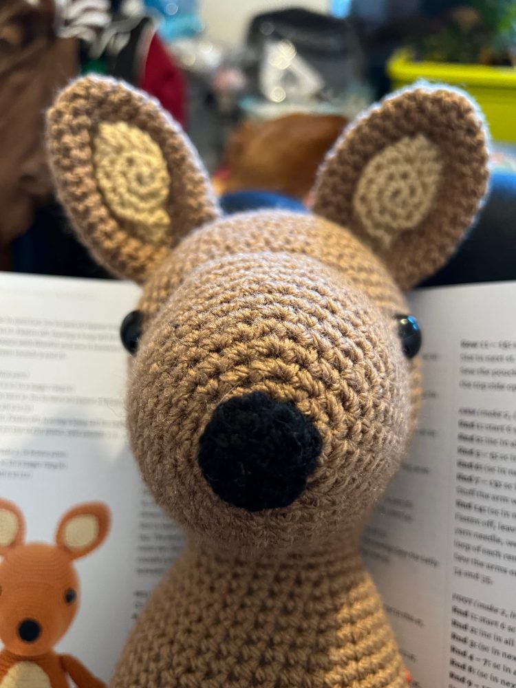 Mama and Baby Kangaroo