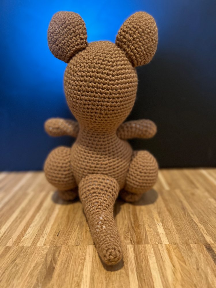 Mama and Baby Kangaroo