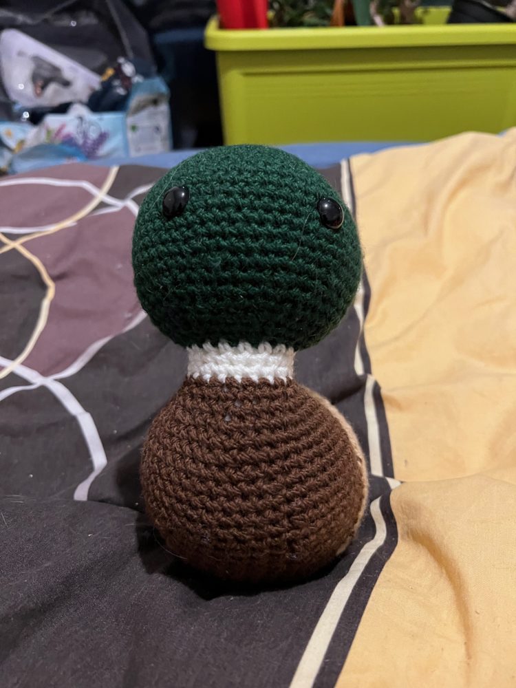 Meyer the Mallard Duck