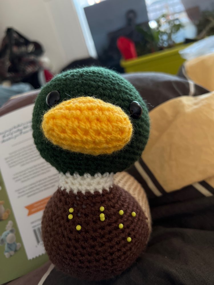 Meyer the Mallard Duck