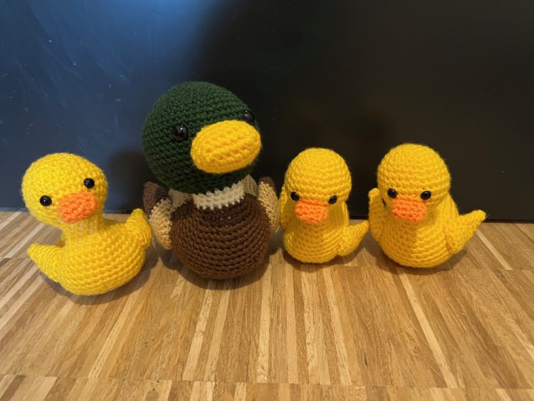 Meyer the Mallard Duck and His Babies