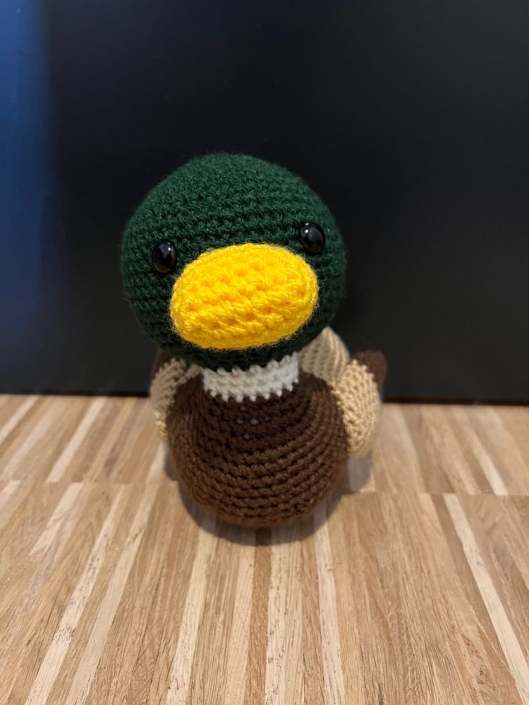 Meyer the Mallard Duck