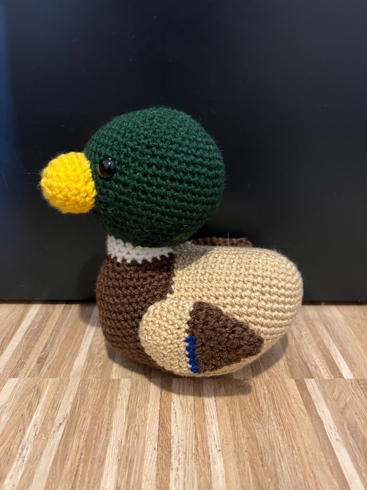 Meyer the Mallard Duck