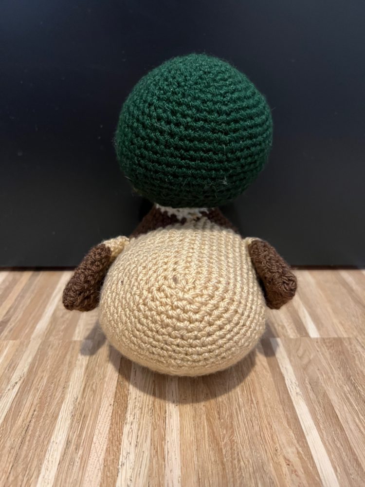 Meyer the Mallard Duck