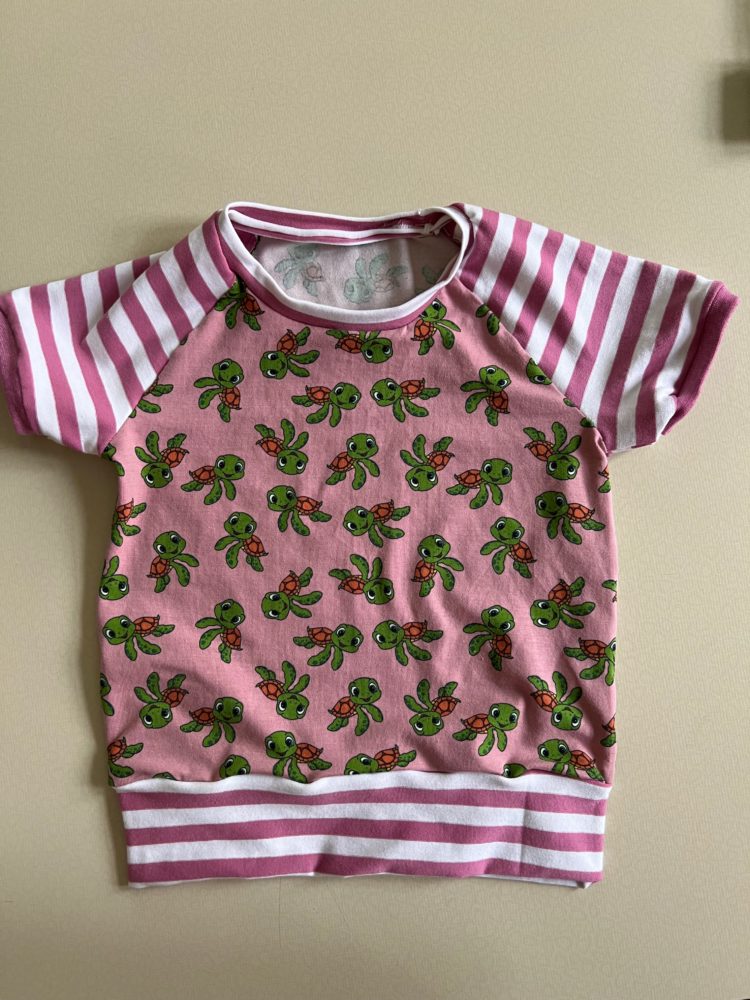 Schildkröte in rosa