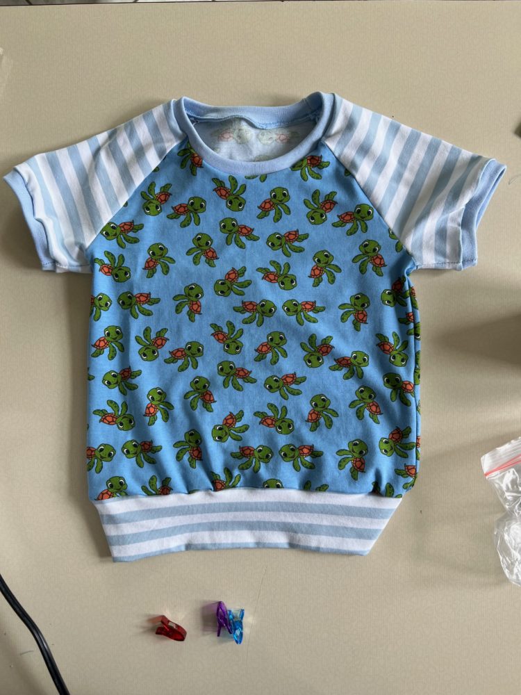 Schildkröte in blau