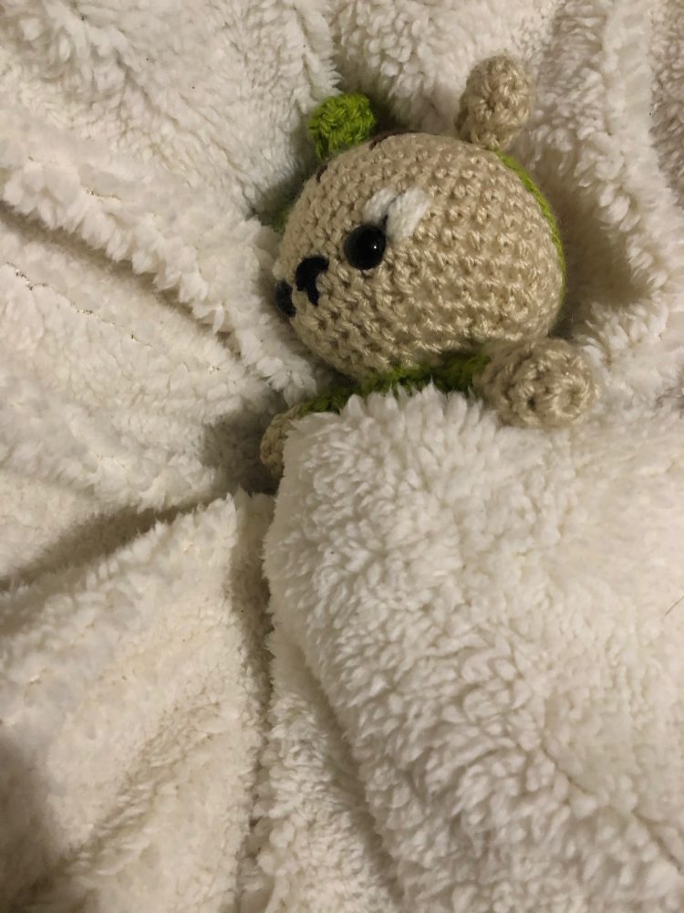 Chip and Charlee the Chipmunks