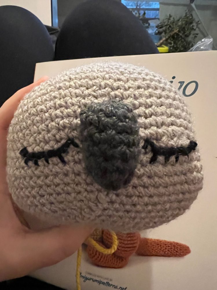 Kai the sleeping Koala