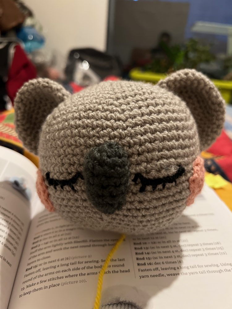 Kai the sleeping Koala