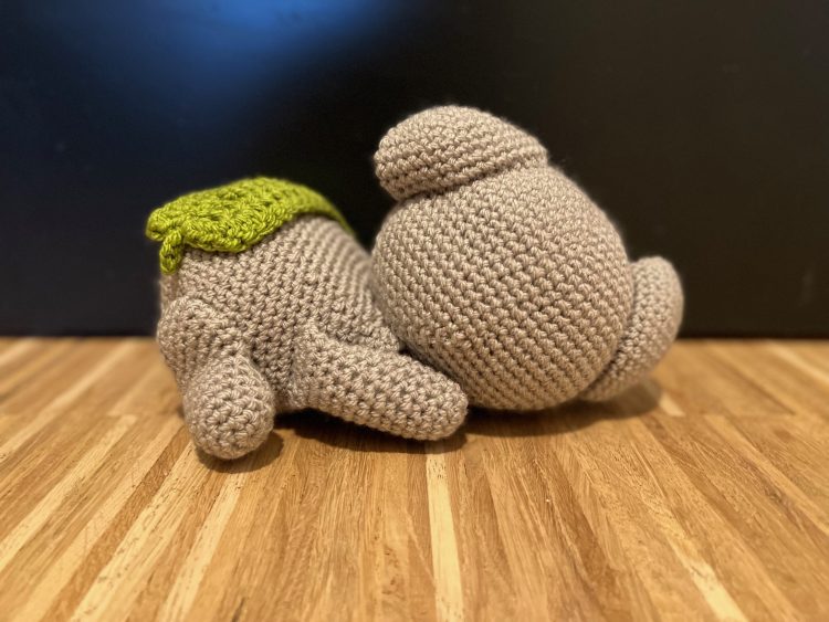 Kai the sleeping Koala