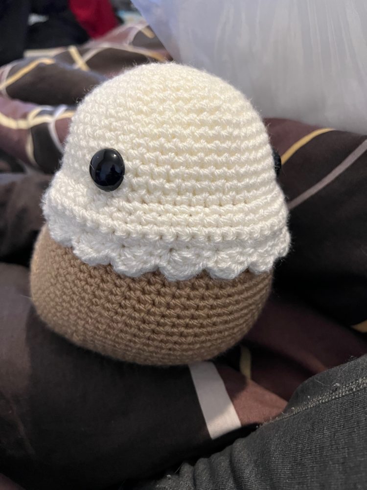 Flora and the Little Chick