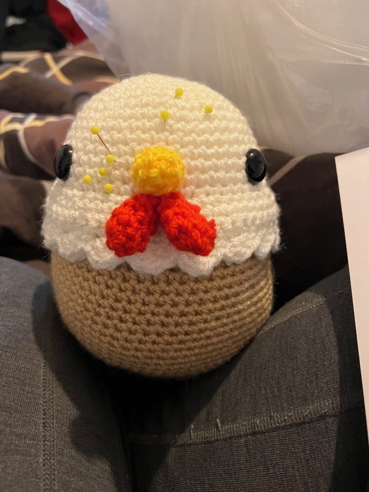 Flora and the Little Chick