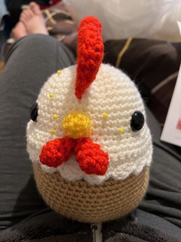 Flora and the Little Chick