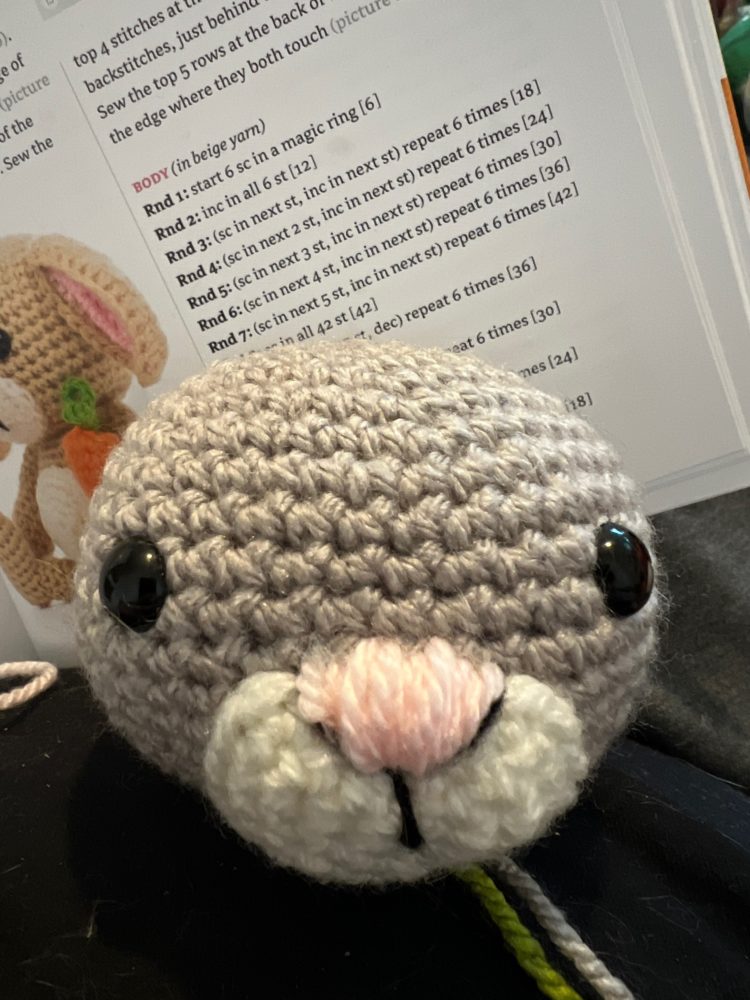 Anton and Erna the Bunnies