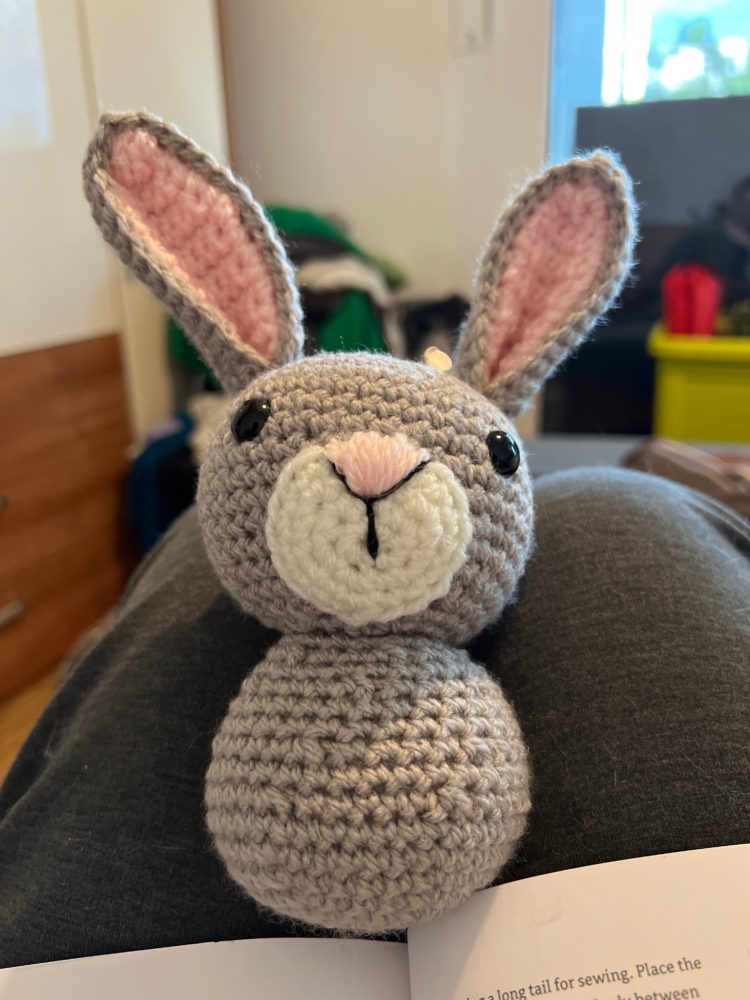 Anton and Erna the Bunnies