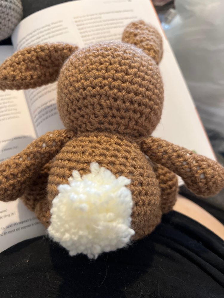 Anton and Erna the Bunnies