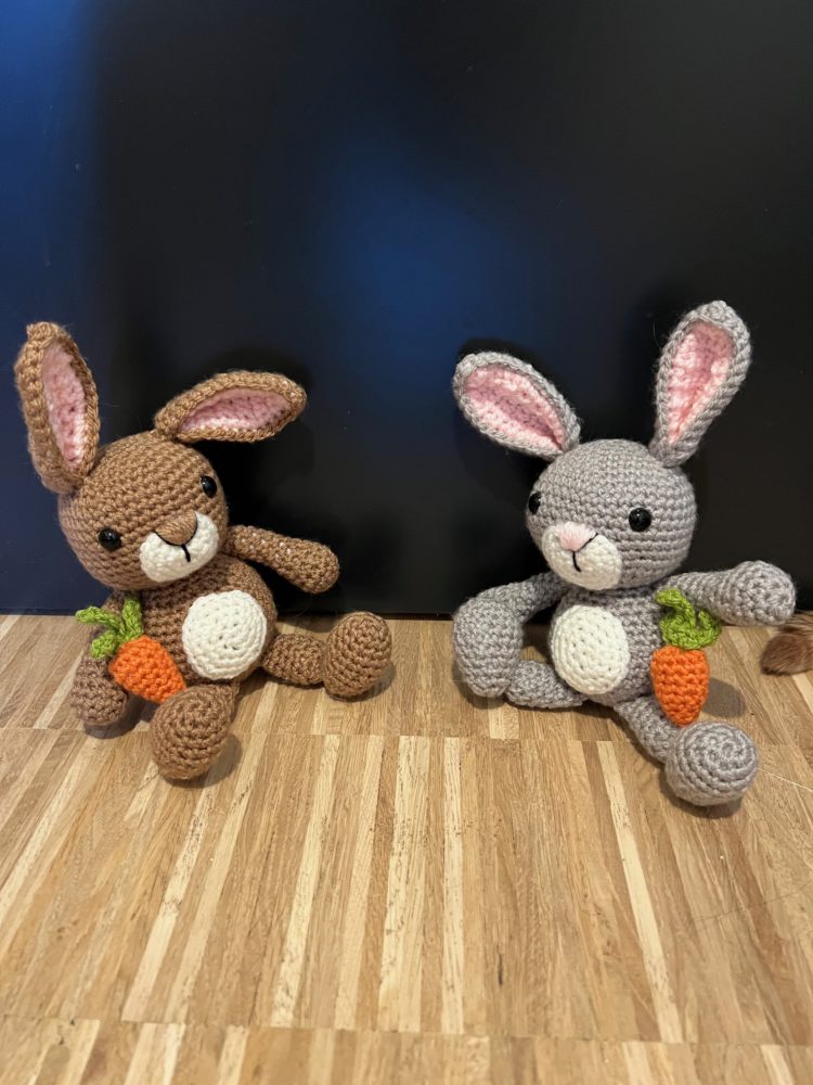 Anton and Erna the Bunnies