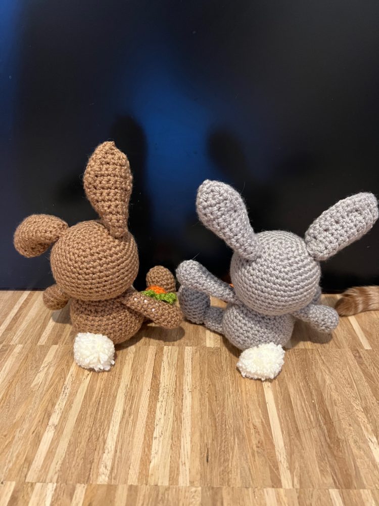 Anton and Erna the Bunnies