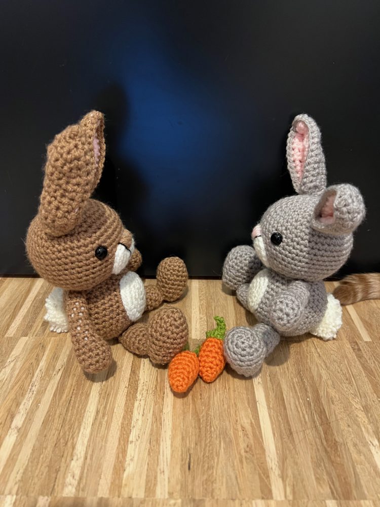 Anton and Erna the Bunnies