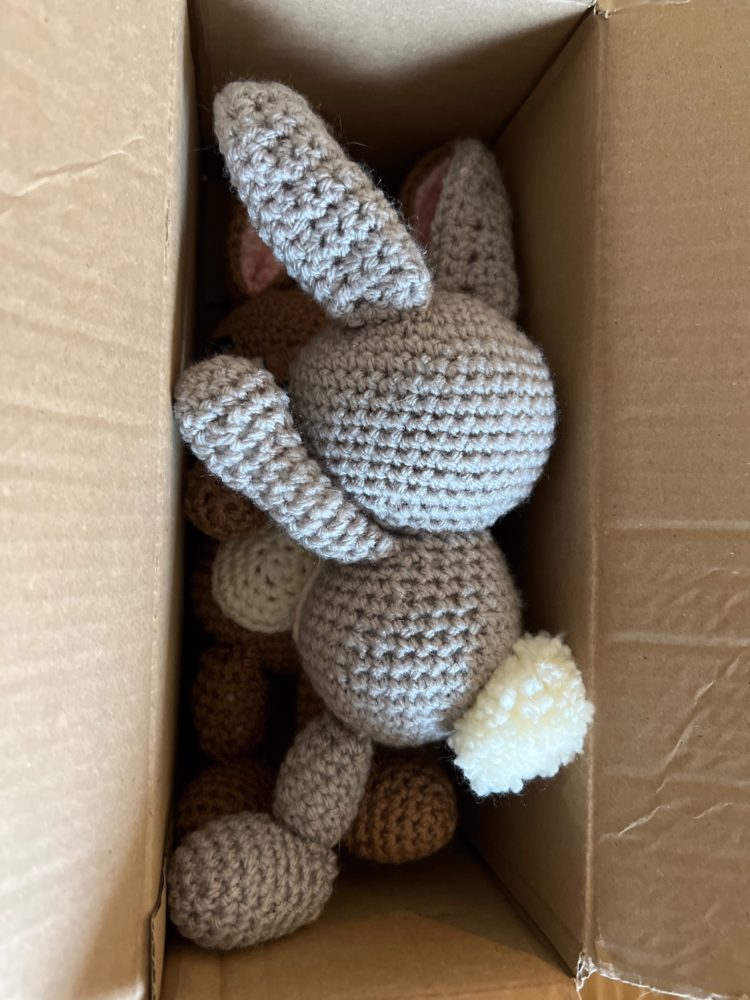 Anton and Erna the Bunnies