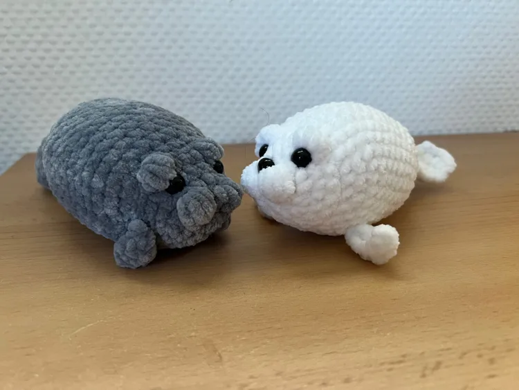 Manatee und Robbe