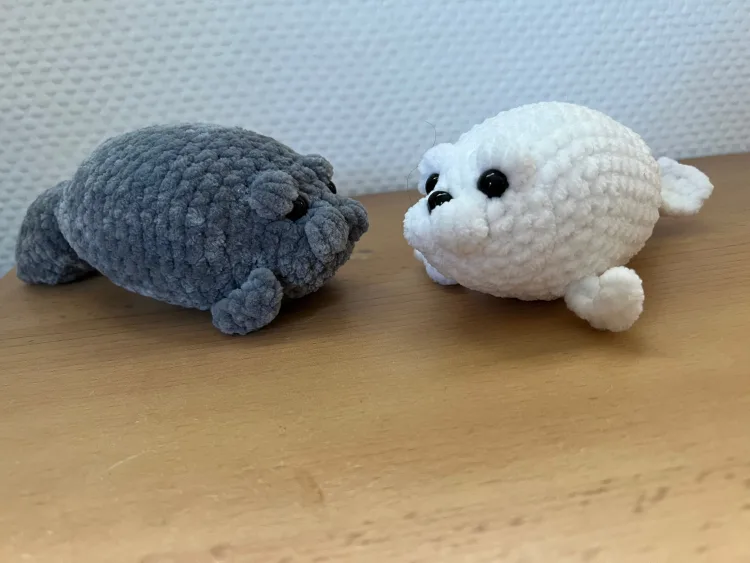 Manatee und Robbe